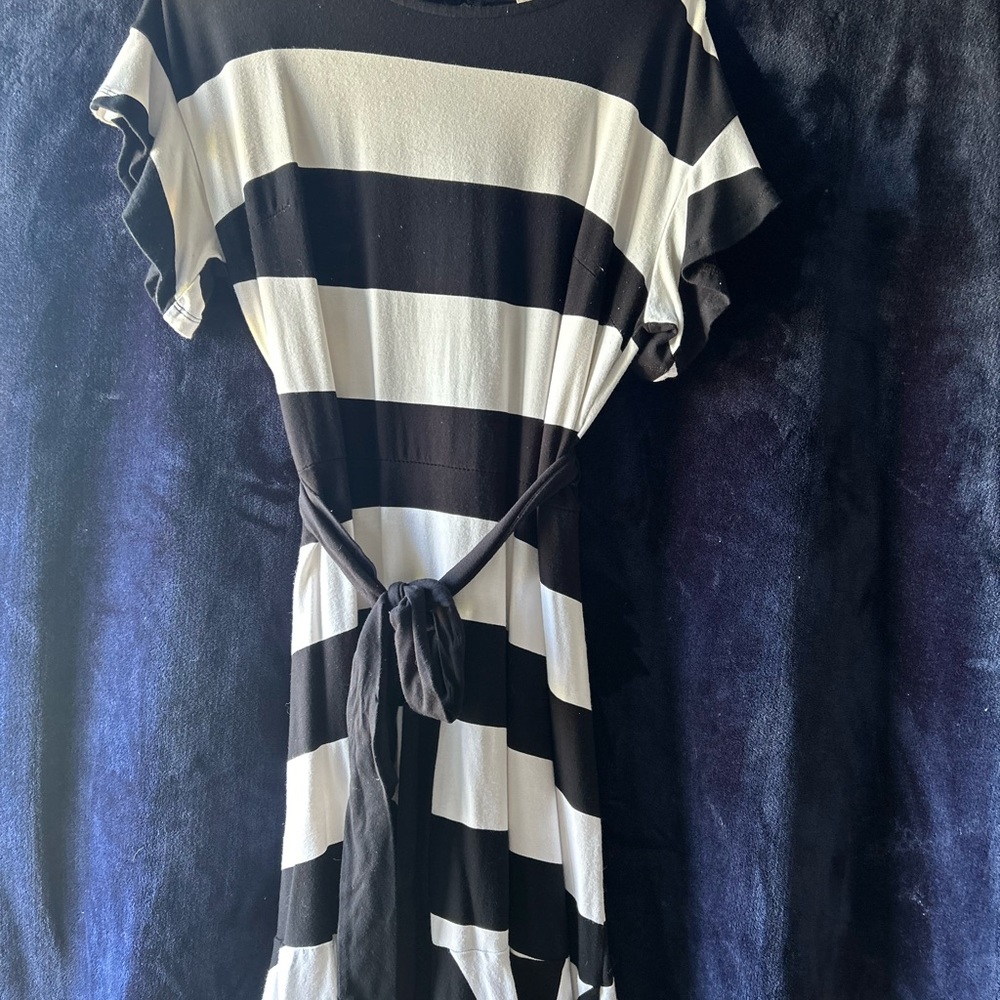 Flutter short sleeve A-line horizontal striped dress from Loft